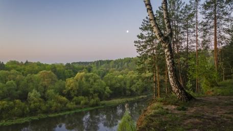 Moonlit River Through Forest wallpaper