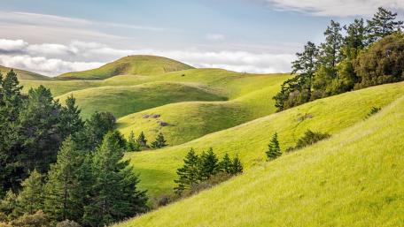 Rolling Green Hills Under Soft Skies wallpaper