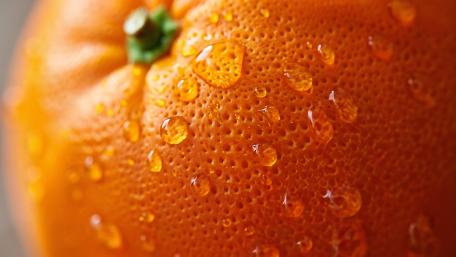 Orange Dew Freshness Close Up wallpaper