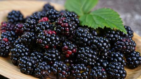 Fresh Blackberries on Rustic Board wallpaper