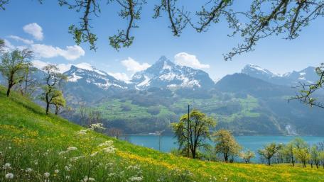 Walensee Spring Panorama wallpaper