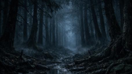 Eerie Mist Over Dark Forest Trail wallpaper