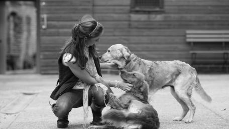 Silent Bond Between Woman and Dogs wallpaper