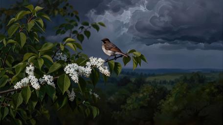 Stormwatch Bird on Blossom Branch wallpaper