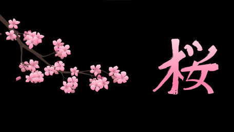 Sakura Dream on Midnight Black wallpaper