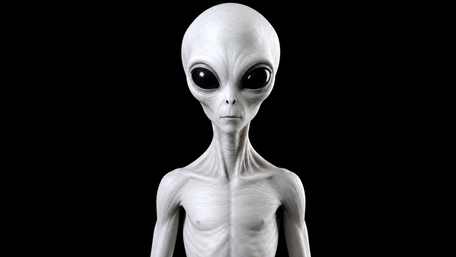 Silent Grey Visitor wallpaper