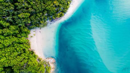 Tropical Paradise Coastline from Above wallpaper
