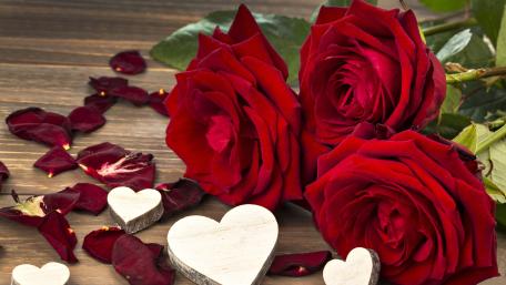 Romantic Red Roses wallpaper