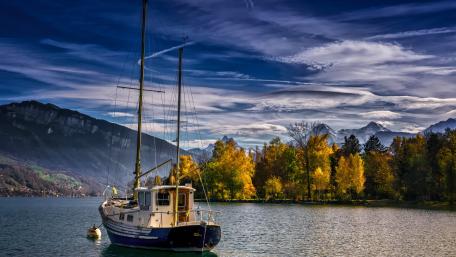 Autumn Sailboat on Thunersee wallpaper