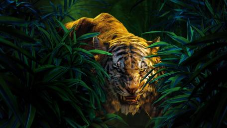 Stealth Tiger in the Jungle wallpaper