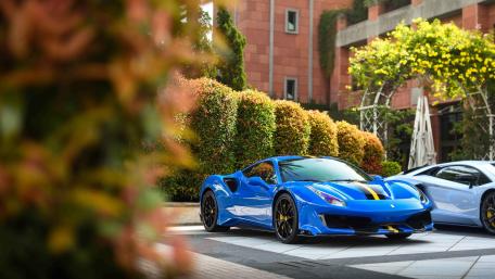 Blue Ferrari Elegance wallpaper