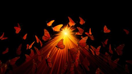 Radiant Butterfly Swarm wallpaper