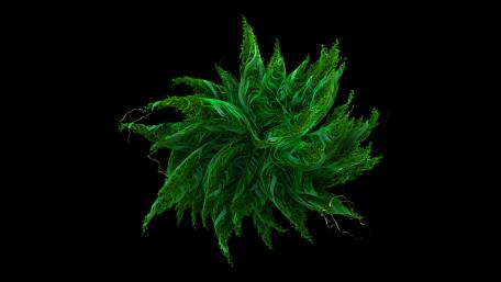 Emerald Spiral Bloom wallpaper