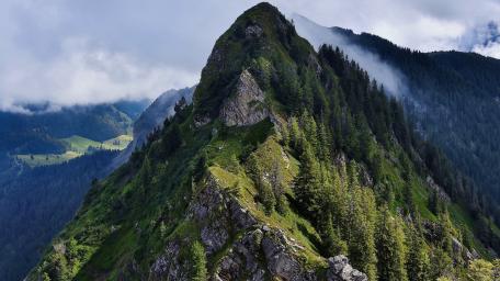 Misty Alpine Ridge wallpaper