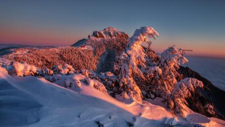 Snowy Dawn Over Mountain Ridge wallpaper