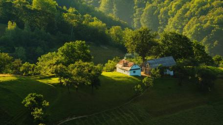 Sunlit Cottage in Forested Hills wallpaper