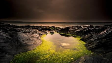 Mossy Tide Pool at Bean Hollow wallpaper