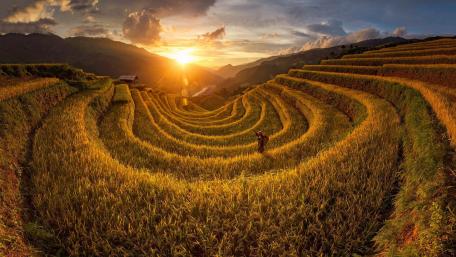 Golden Light Over Mu Cang Chai Terraces wallpaper