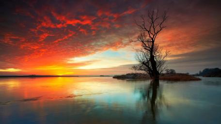 Fiery Dawn Over Quiet Lake wallpaper