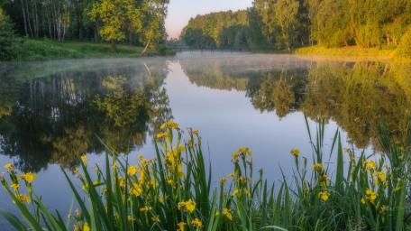 Misty Lake Dawn Reflection wallpaper