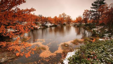 Autumn Frost Pond Retreat wallpaper