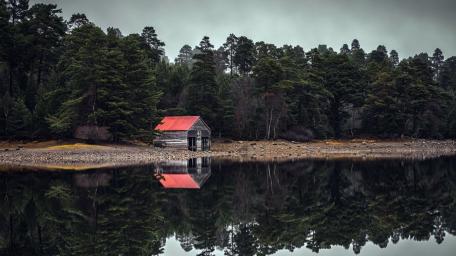 Loch Vaa Forest Reflection wallpaper
