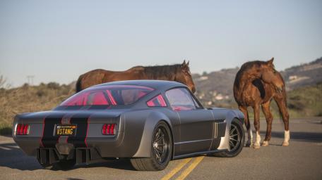 Retro Mustang Supercar Meets Wild Horse Country wallpaper