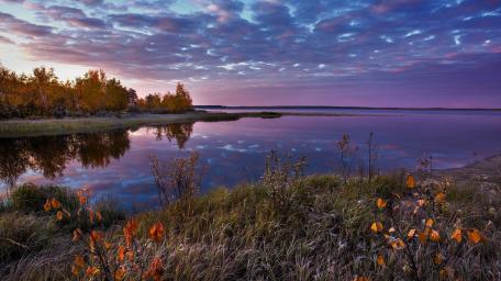 Autumn Lake Serenity wallpaper