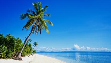 Tropical Paradise Beach Escape wallpaper