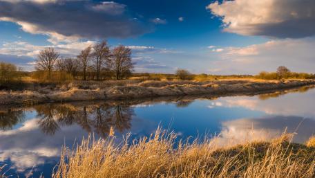 Golden River Reflection wallpaper