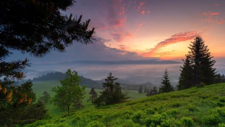 Misty Sunrise Over Green Hills wallpaper