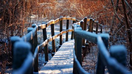 Winter Wonderland Footbridge in a Frosty Forest wallpaper