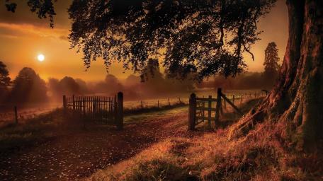 Golden Mist Over Quiet Farmland wallpaper