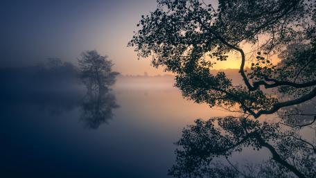 Misty Dawn Over the Silent Lake wallpaper