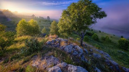 Misty Countryside Morning Glow wallpaper