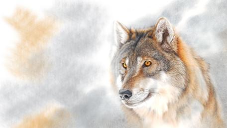 Mystic Wolf Portrait wallpaper