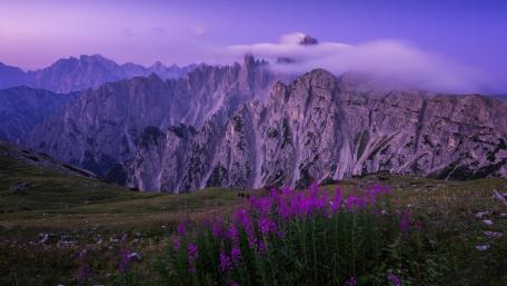 Twilight Peaks and Wildflowers wallpaper