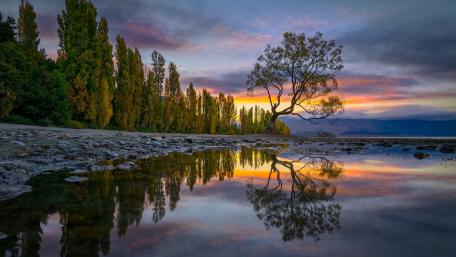 Wanaka Tree Sunset Reflection wallpaper