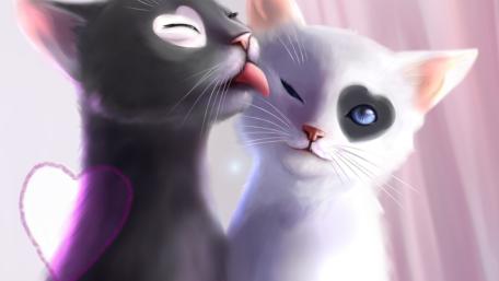 Romantic Cats in Love wallpaper