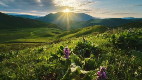 Sunrise Over Green Hills wallpaper