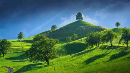 Sunlit Green Hills wallpaper