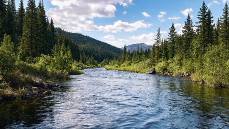 Tranquil Forest River Under Open Sky wallpaper
