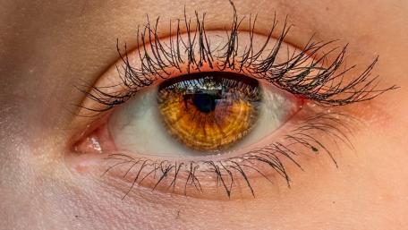 Captivating Macro Shot of an Iris Eye Detail wallpaper