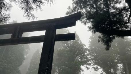 Misty Torii Gate in Silent Nikko Forest wallpaper