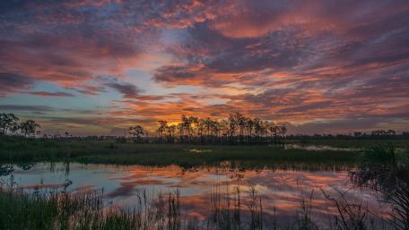 Glowing Marsh Sunset Reflection wallpaper