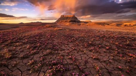 Sunset Glow Over Factory Butte Desert wallpaper