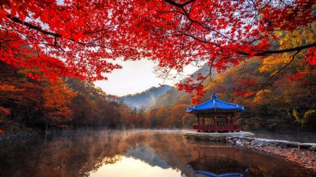 Autumn Serenity at Naejangsan Lake wallpaper