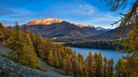 Golden Autumn Over Silsersee wallpaper