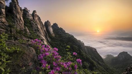 Wolchulsan Sunrise Above the Sea of Clouds wallpaper