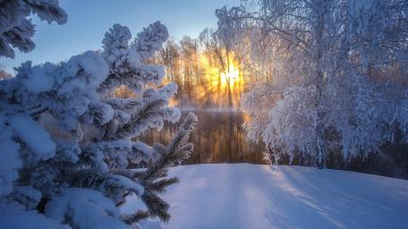 Winter Sunlit Forest River wallpaper